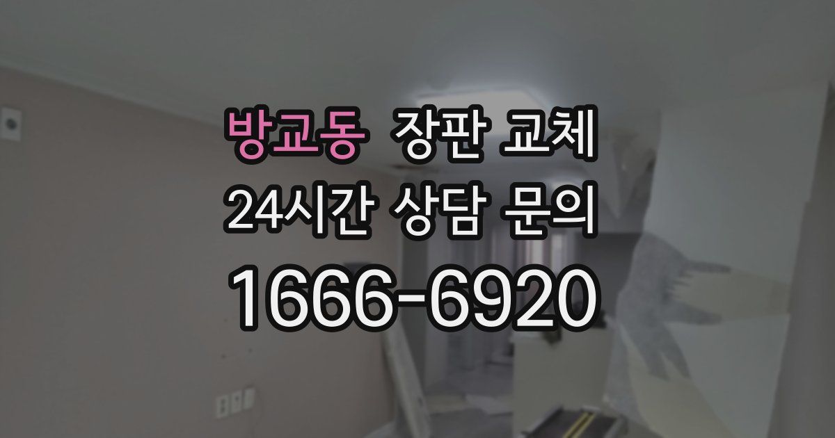 방교동 장판 교체