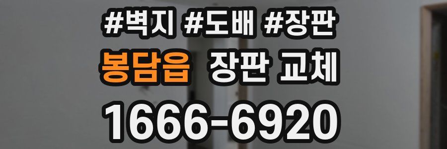 봉담읍 장판 교체