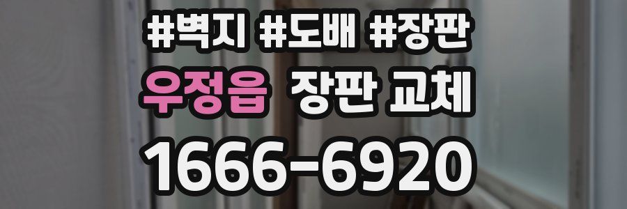 우정읍 장판 교체