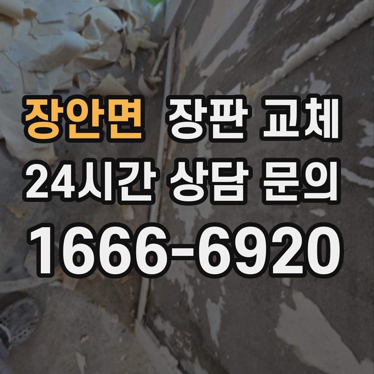 장안면 장판 교체