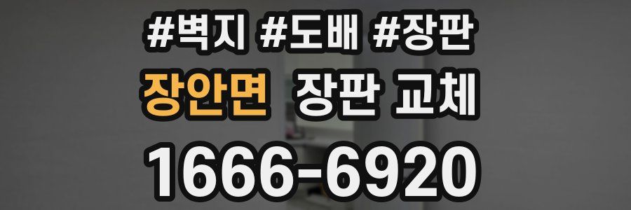 장안면 장판 교체