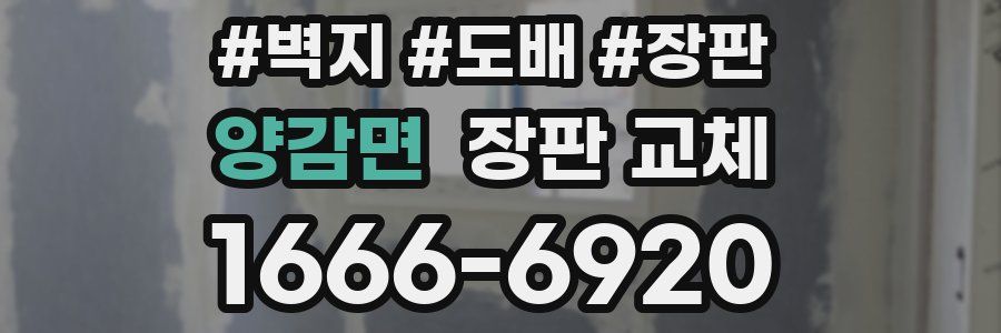 양감면 장판 교체
