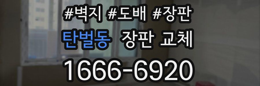 탄벌동 장판 교체