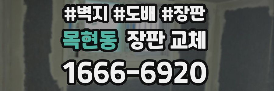 목현동 장판 교체