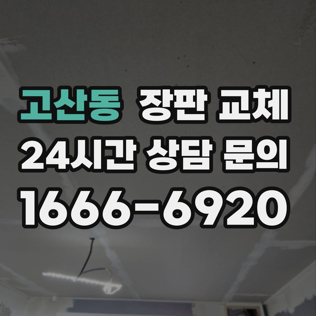고산동 장판 교체