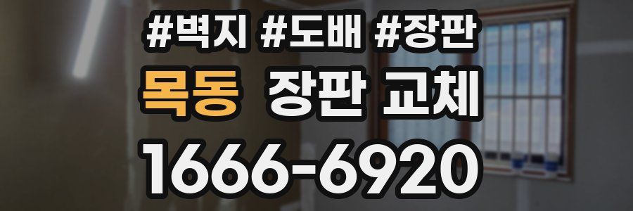 목동 장판 교체