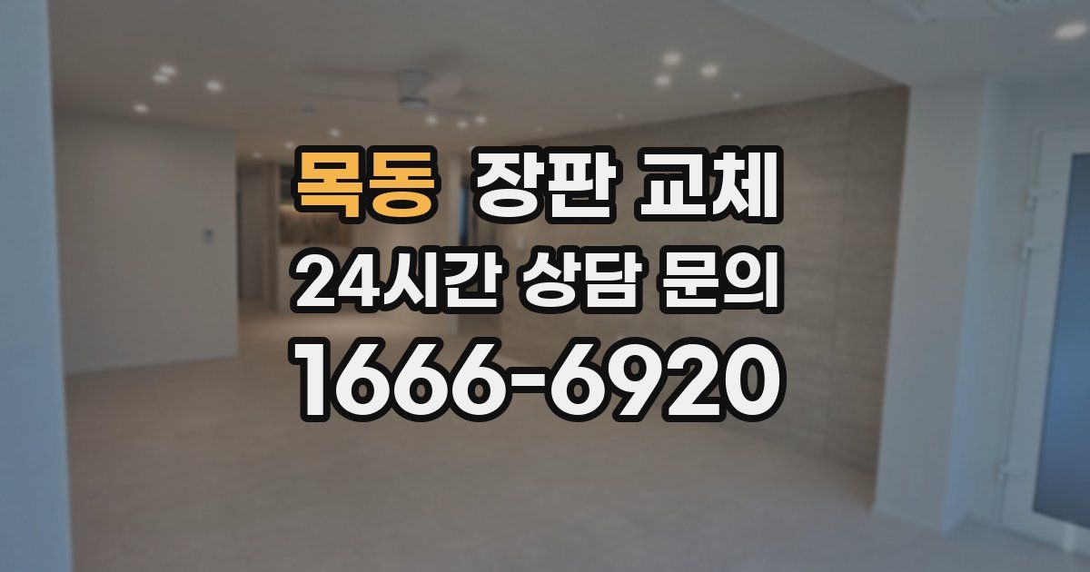 목동 장판 교체