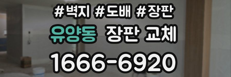 유양동 장판 교체
