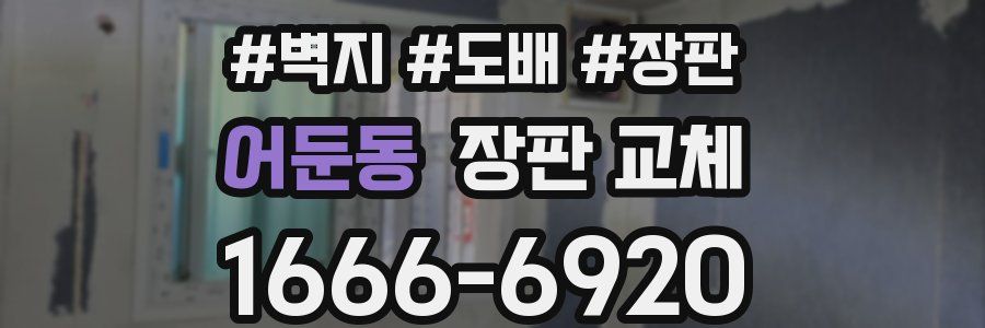 어둔동 장판 교체