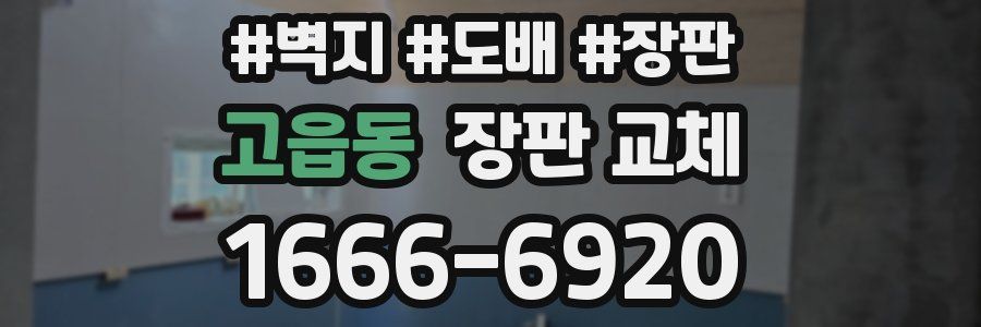 고읍동 장판 교체