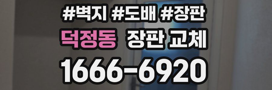 덕정동 장판 교체