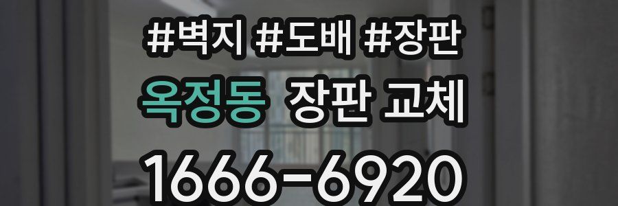 옥정동 장판 교체