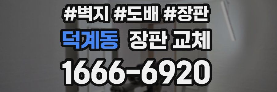 덕계동 장판 교체