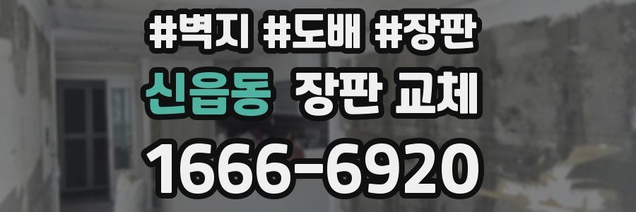 신읍동 장판 교체