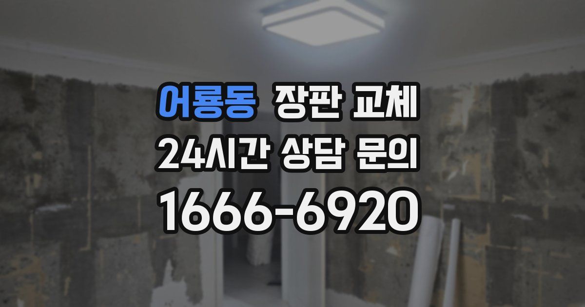어룡동 장판 교체