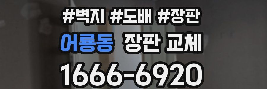 어룡동 장판 교체