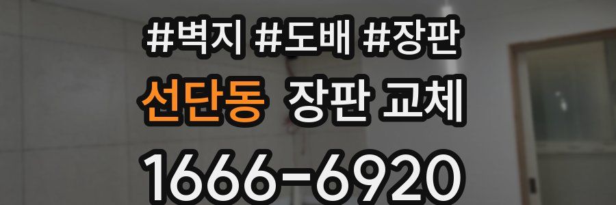 선단동 장판 교체