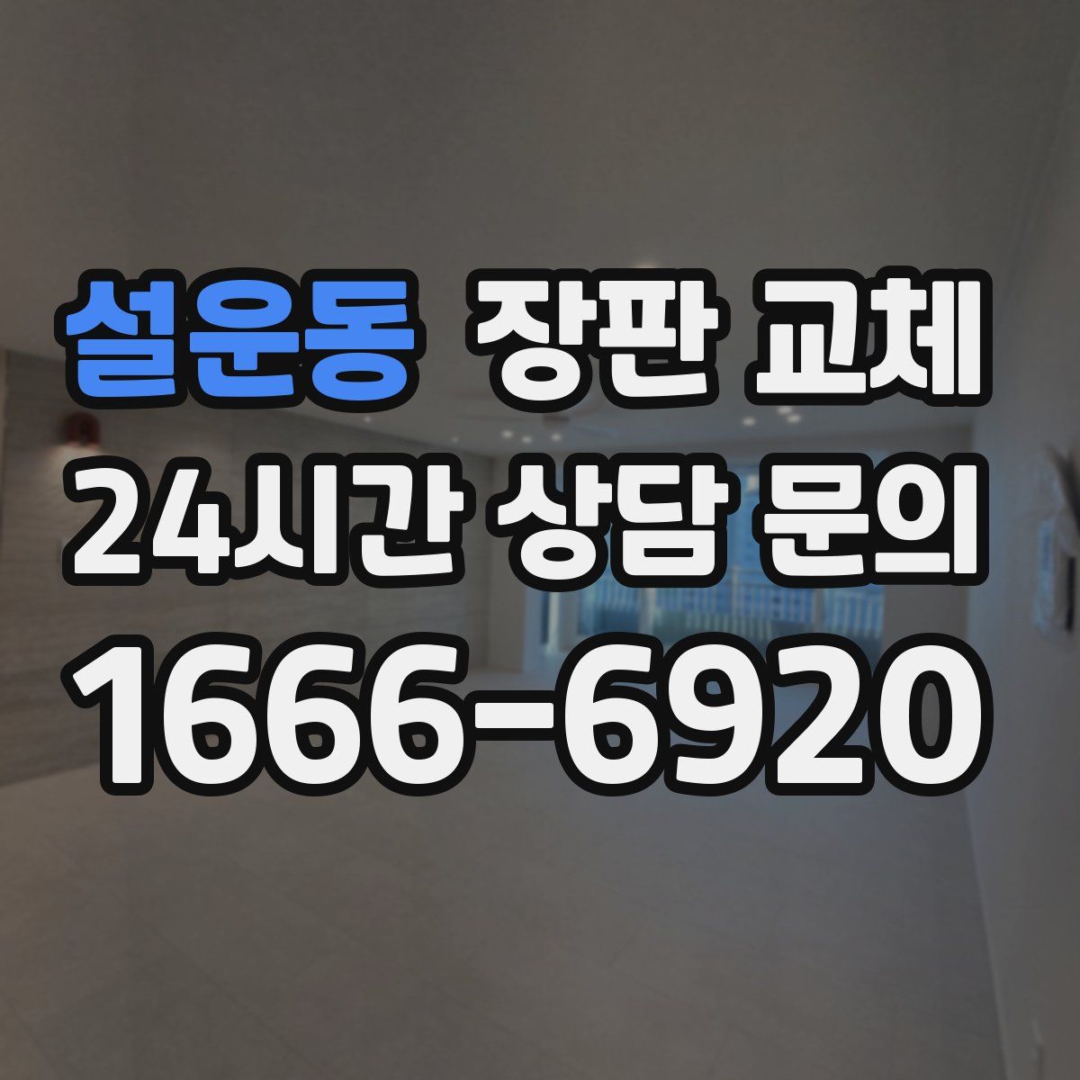 설운동 장판 교체