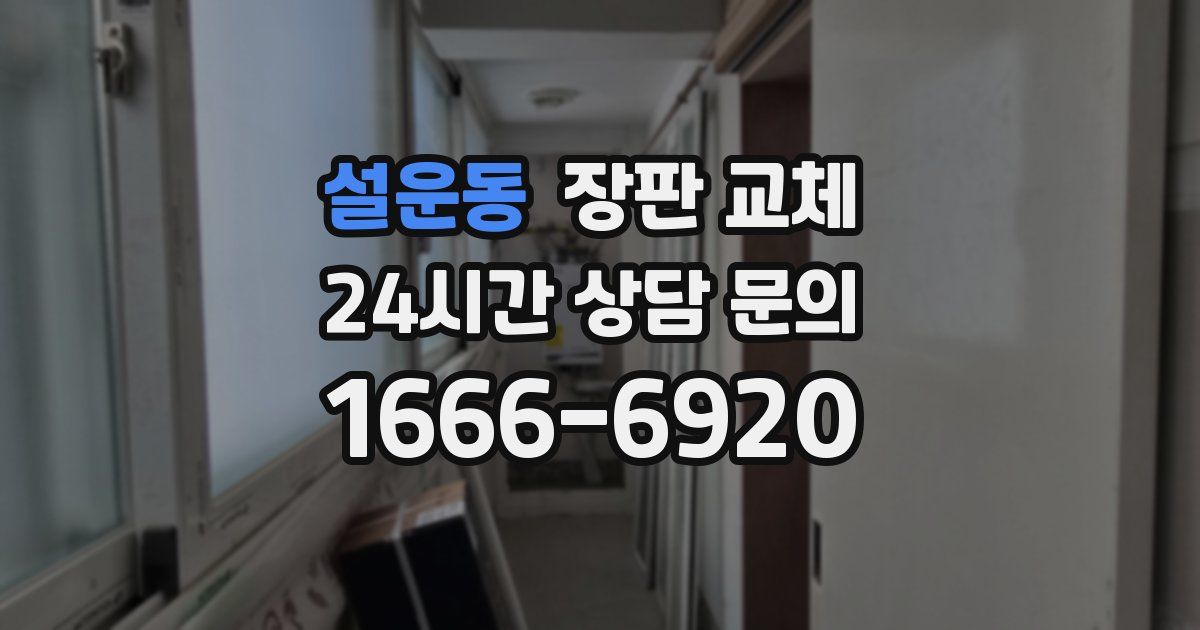 설운동 장판 교체