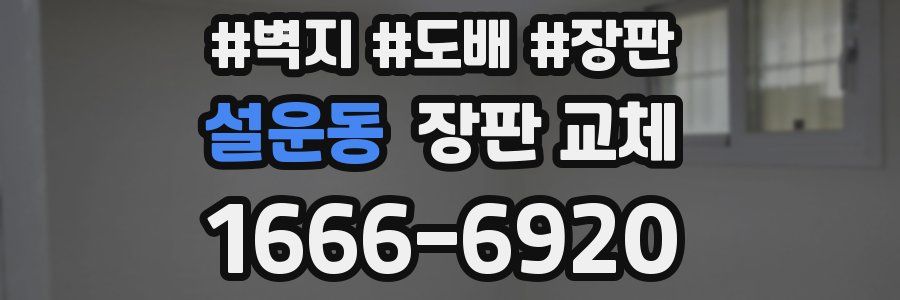 설운동 장판 교체