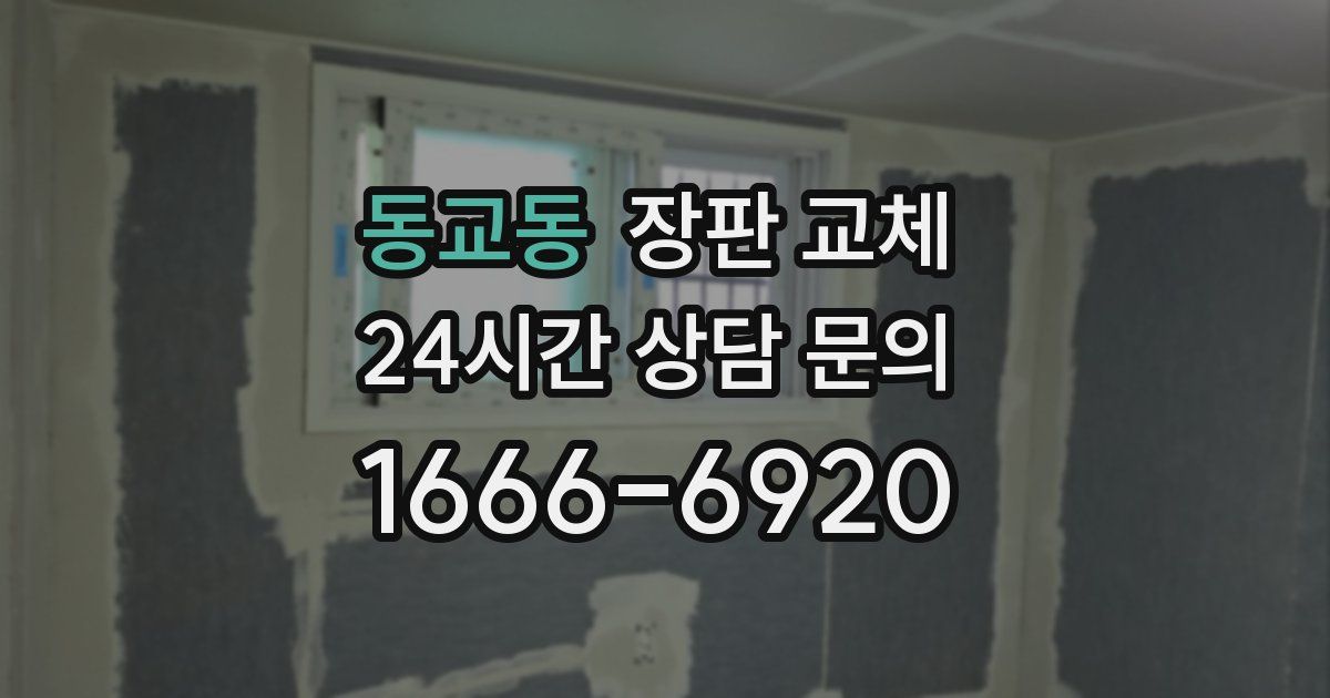 동교동 장판 교체