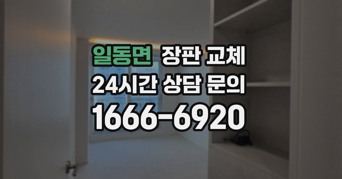 일동면 장판 교체