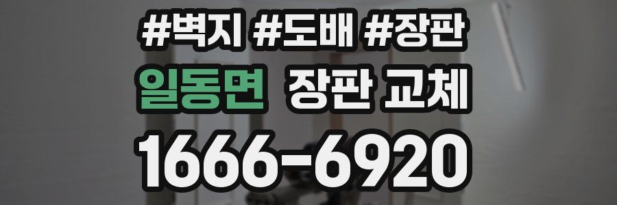 일동면 장판 교체