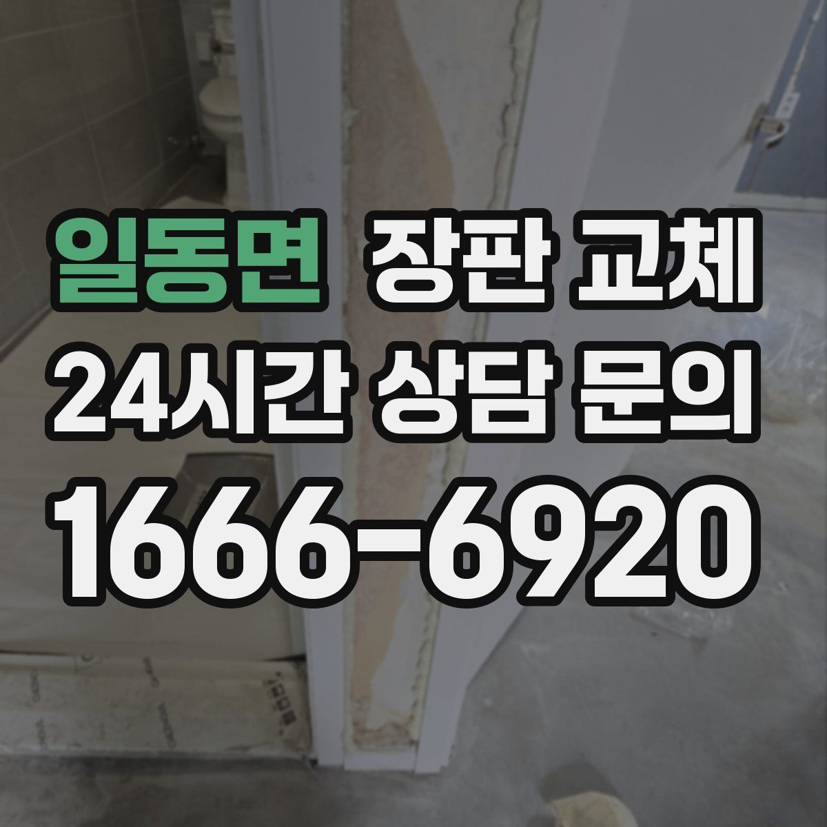 일동면 장판 교체