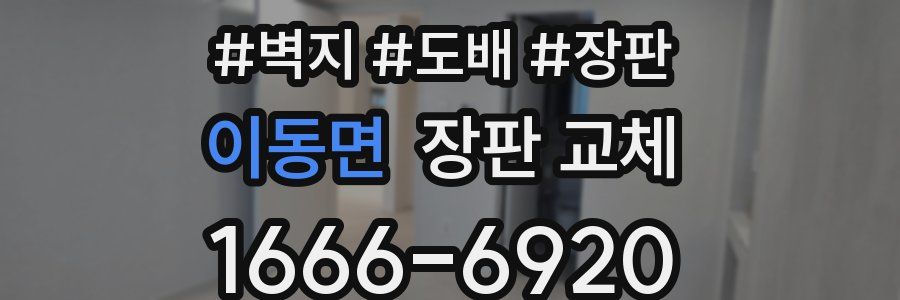 이동면 장판 교체