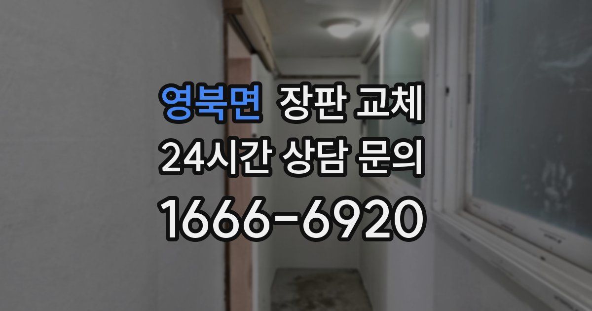 영북면 장판 교체