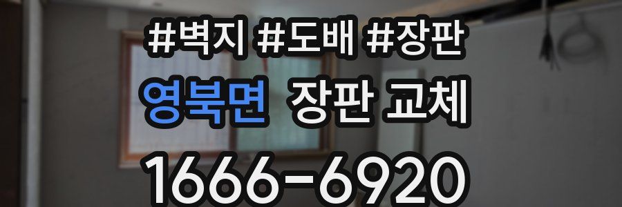 영북면 장판 교체