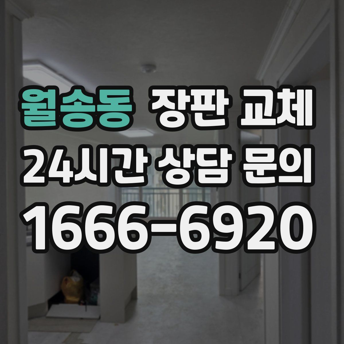 월송동 장판 교체
