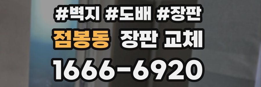 점봉동 장판 교체