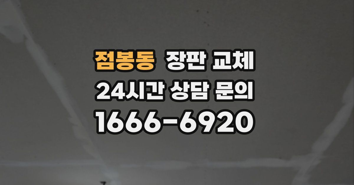 점봉동 장판 교체
