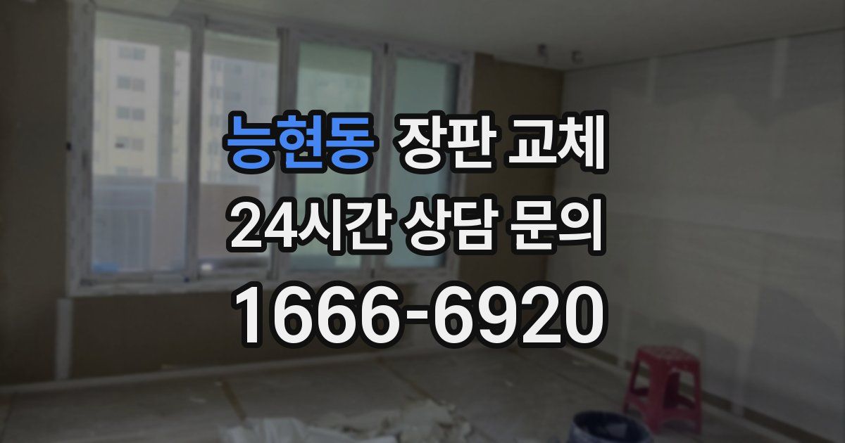 능현동 장판 교체