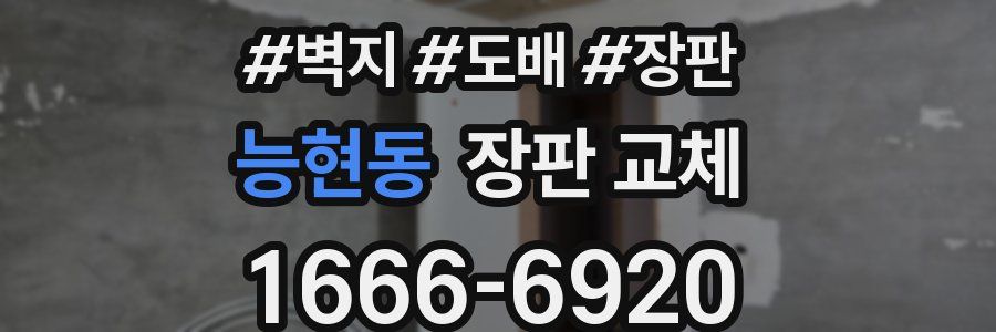 능현동 장판 교체
