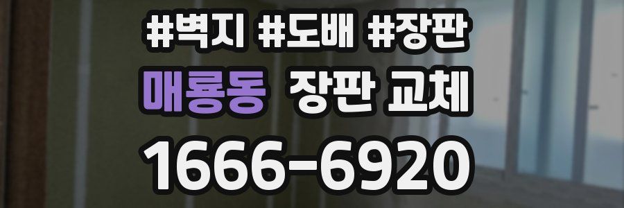 매룡동 장판 교체