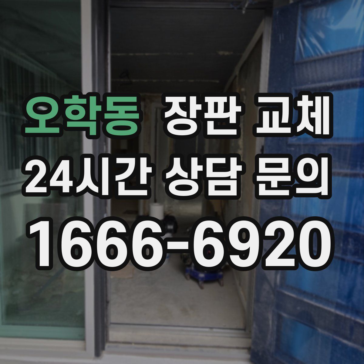 오학동 장판 교체