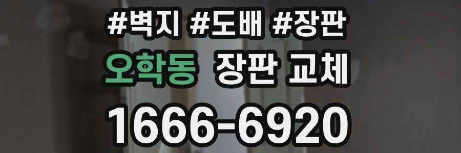 오학동 장판 교체