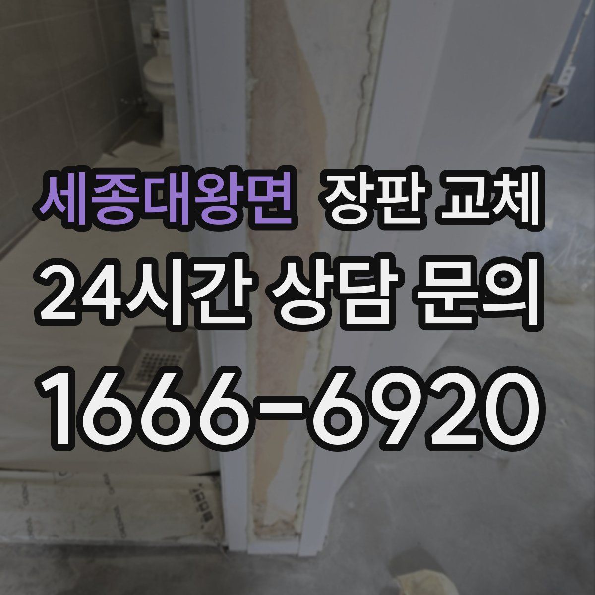 세종대왕면 장판 교체