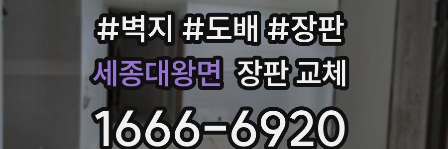세종대왕면 장판 교체