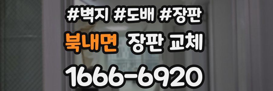 북내면 장판 교체