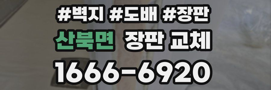 산북면 장판 교체