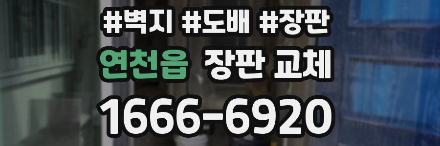 연천읍 장판 교체