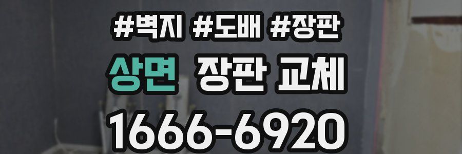 상면 장판 교체