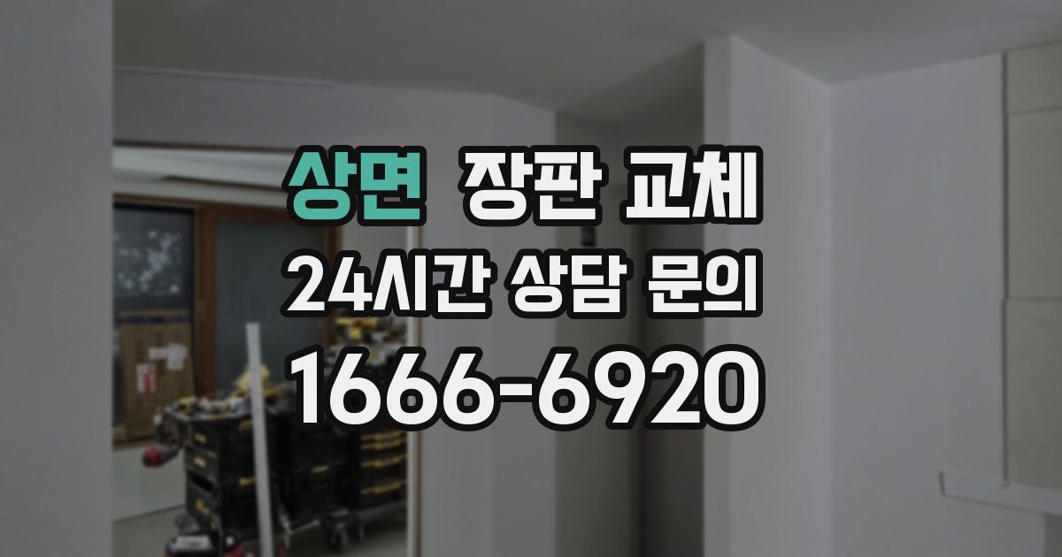상면 장판 교체