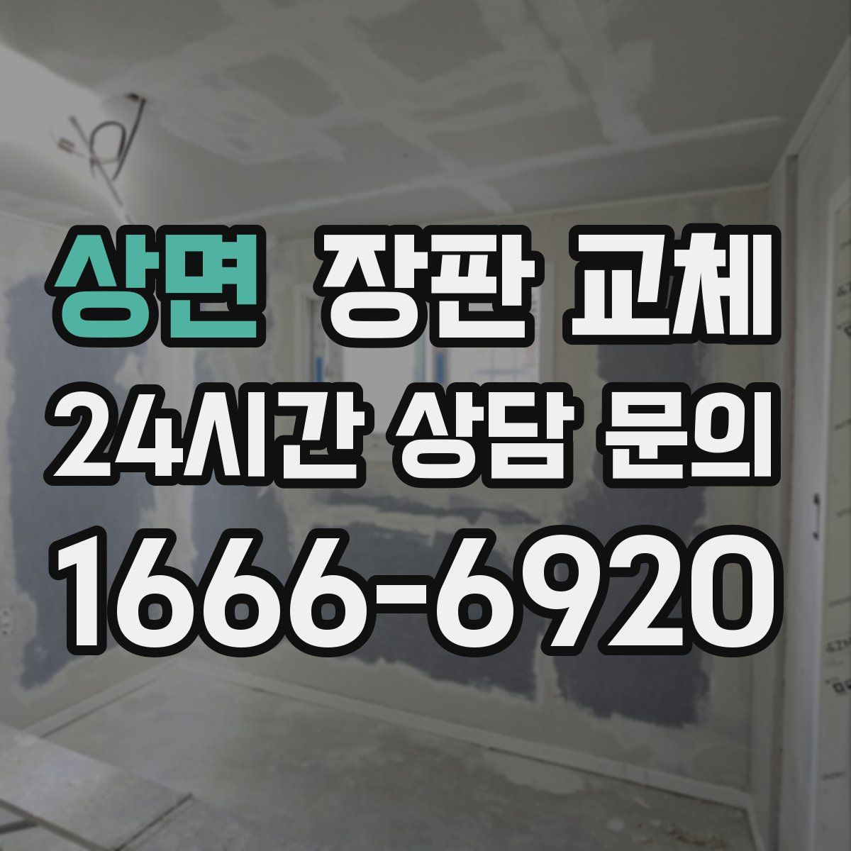 상면 장판 교체