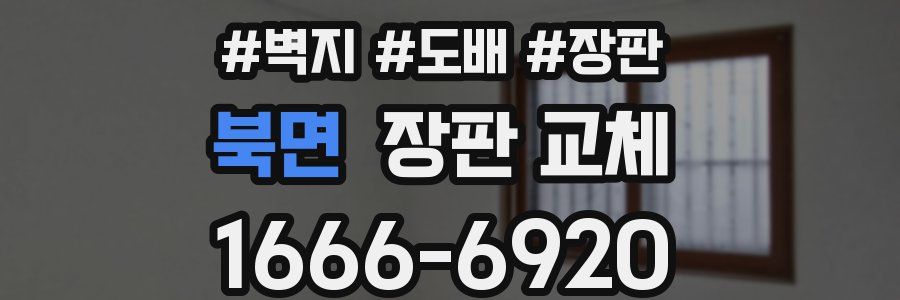 북면 장판 교체