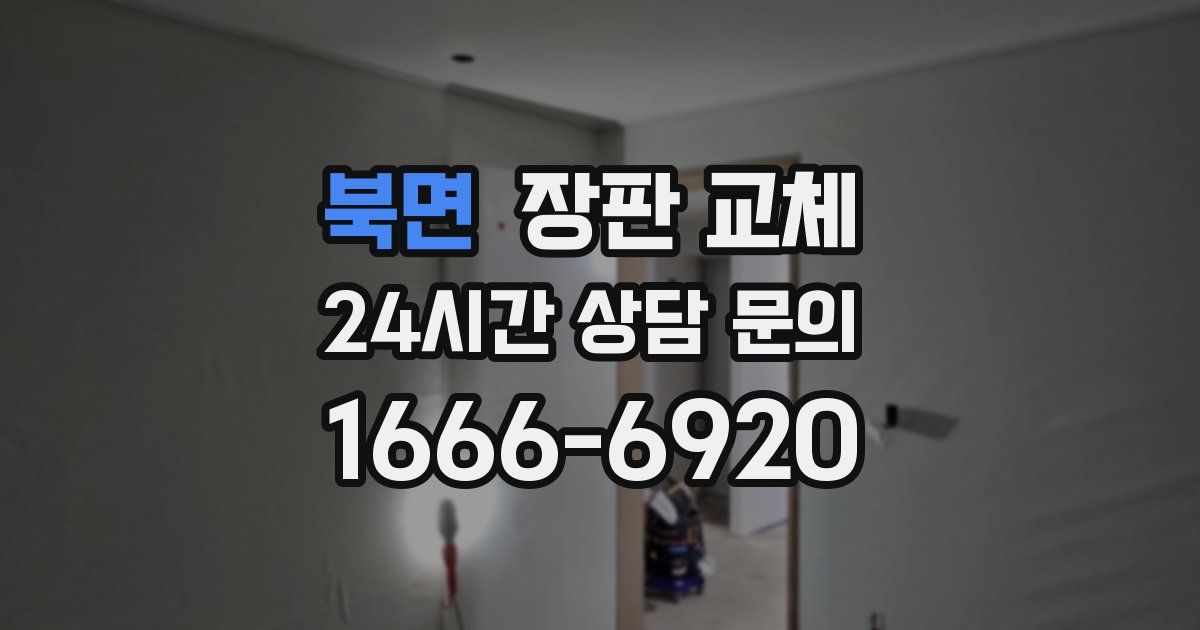 북면 장판 교체
