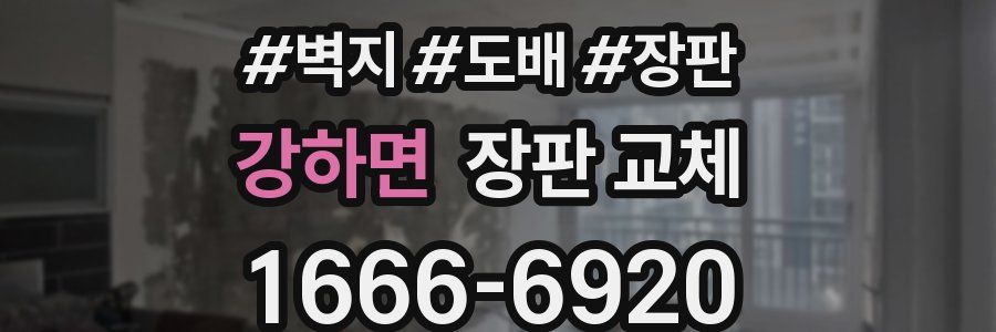 강하면 장판 교체